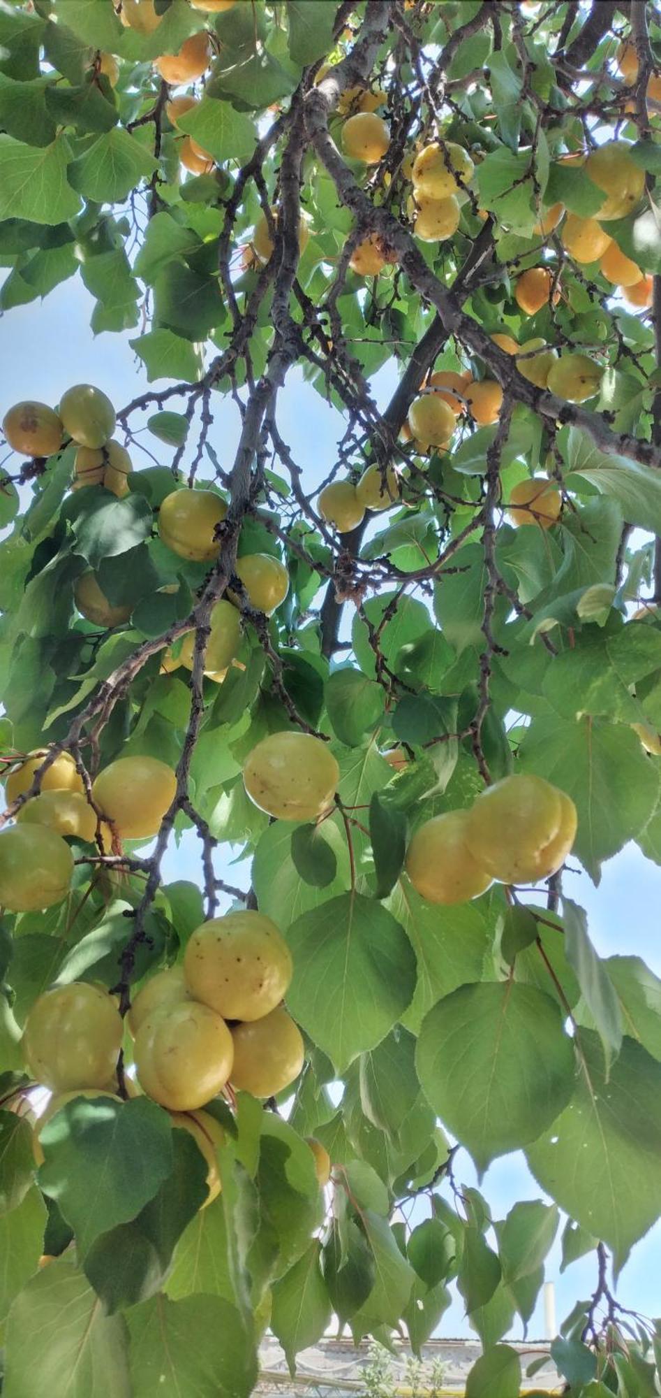 Yukon Otel Bosteri Dış mekan fotoğraf